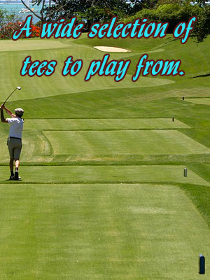 A wide selection of tees to learn to play from for novices and top players