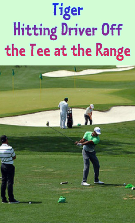 Beginners could learn to play golf better by watching Tiger Hitting Driver Off the Tee at the Range