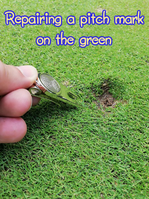 Learn how to repair pitch marks made by the golf ball on the green